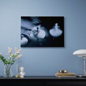 New ! IKEA PJATTERYD Picture Swirling Ballerina  27 ½x19 ¾"  805.452.76